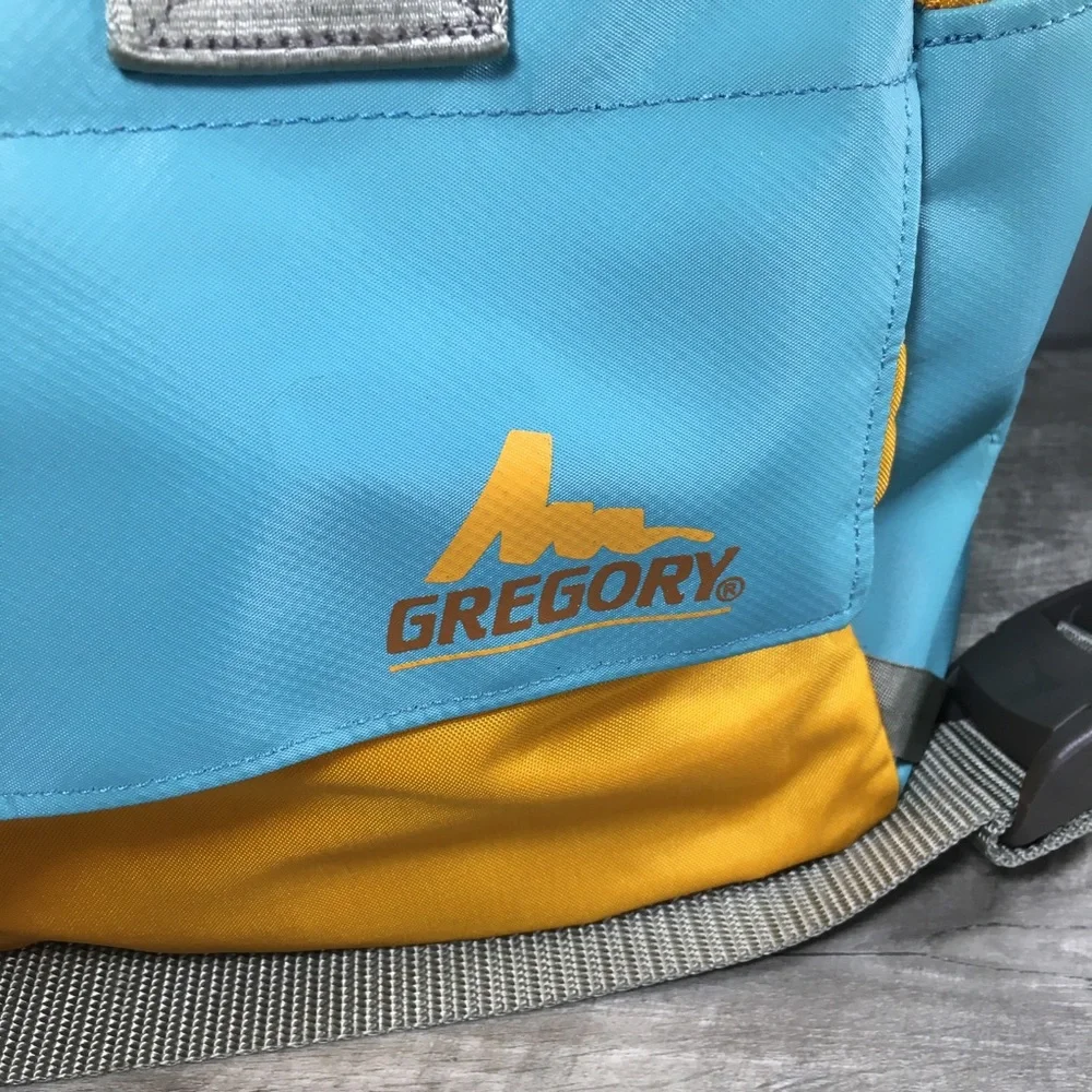 Gregory Weather Resistant Blue Traveler Commuter Duffle Weekender Overnight Bag